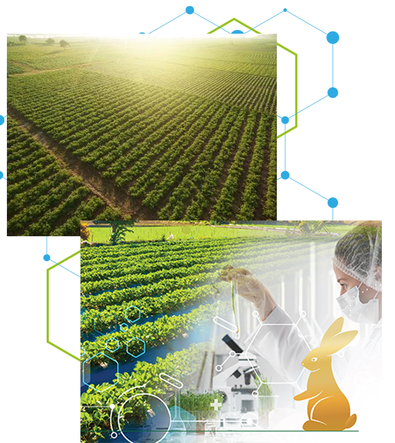 Gökada Dönüşüm - Hakkımızda